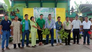 Devida apoyará a productores de plátano de Ucayali para mejorar calidad de sus cultivos