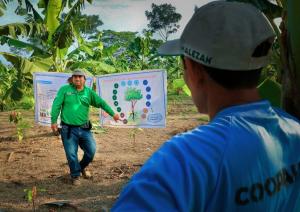 Devida impulsa producción orgánica de cacao en la provincia de Satipo