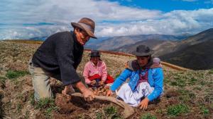 Día del Campesino: fecha sirve para reflexionar y exigir cambios urgentes en el sector