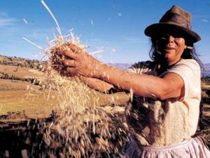 ¿DÍA DEL CAMPESINO O DÍA DEL EMPRENDEDOR AGRARIO?