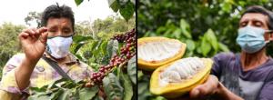 Dirigentes de café y cacao de Perú califican como “traición” de la Comisión de Pueblos Andinos del Congreso intento de derogatoria de la ley 31973