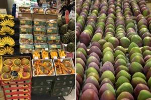 Dole y Camposol llevan los "Peruvian Flame Mangoes" a China