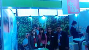 Dominus evalúa  producir mangos orgánicos