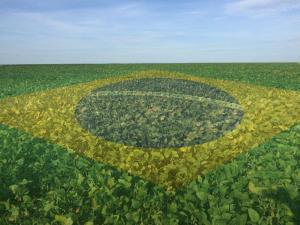 Economía brasileña entra en recesión por baja actividad en el agro
