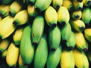 Ecuador responde a Rusia por bloqueo de exportaciones de banano