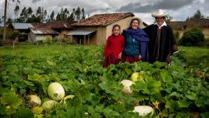 El 15% de las exportaciones agrarias fueron realizadas por pequeñas y microempresas