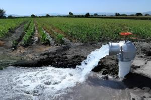 El 80% del agua disponible en el Perú es utilizada para la agricultura; sin embargo, cerca del 70% de esta no es distribuida de manera eficiente