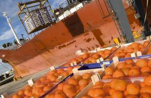 El 87.6% del total del valor de las agroexportaciones entre enero y julio del 2022 se despacharon vía marítima