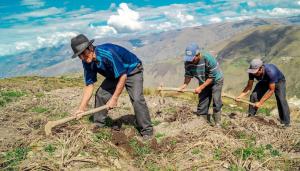 El agro en disputa: ¿qué plantean los partidos en las elecciones 2026?