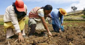 El agro nacional no tiene las herramientas suficientes para hacer la transformación