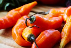 El ají escabeche peruano tiene gran potencial comercial para el mercado interno y exterior