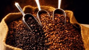 EL CAFÉ ES EL PRIMER PRODUCTO AGRÍCOLA ENTRE LAS PRINCIPALES EXPORTACIONES TRADICIONALES DEL PERÚ