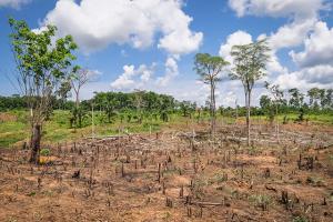 El cambio climático va a afectar a toda la cadena de producción agrícola