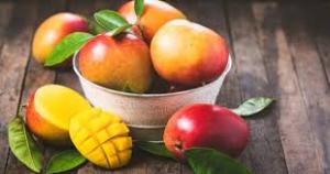 “El consumo de mango en los Estados Unidos continúa creciendo, con un rango per cápita de 3,25 libras por persona en 2019”