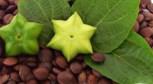 El Estado debe trabajar para que no haya más productos peruanos restringidos de ingresar a la Unión Europea