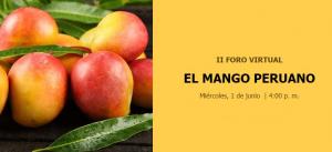 El futuro del mango peruano se discute hoy en foro de especialistas internacionales
