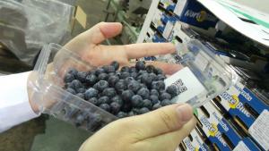 El mayor productor peruano de arándanos a punto de ser comprado por la chilena Hortifrut