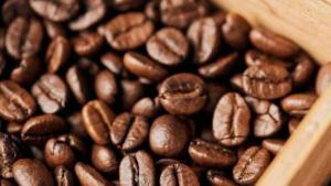 El mercado del café repunta tras tocar mínimos de seis meses: volatilidad y factores de soporte emergentes