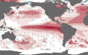 El Niño costero continuará hasta finales del año con una alta posibilidad de manifestarse el fenómeno El Niño en el Pacífico central con una magnitud fuerte a moderado
