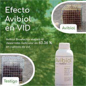 El poder de los beneficios de Avibiol Bioefector frente a un biol artesanal