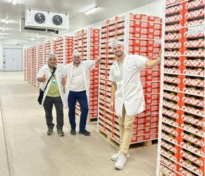 "El precio de los mangos en el mercado europeo sigue aumentando cada día"