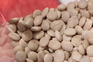 El proceso de desamargado del tarwi no es amigable con el ambiente