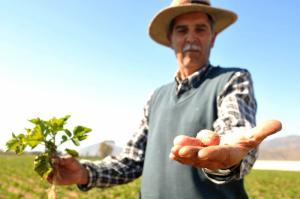 “EL PRÓXIMO MINISTRO DEBE VER EL AGRO DESDE EL PUNTO DE VISTA DEL AGRICULTOR Y NO DEL CONSUMIDOR”