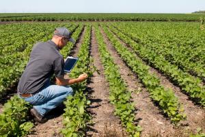 El sector agroindustrial está en un viaje sin retorno hacia la digitalización