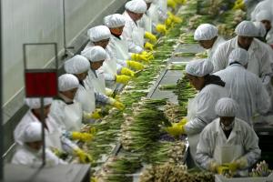 EMPLEO FORMAL CRECIÓ 23.6 % EN ÚLTIMOS CINCO AÑOS