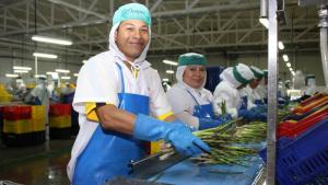 Empleos directos asociados a exportaciones crecen alrededor del 2%