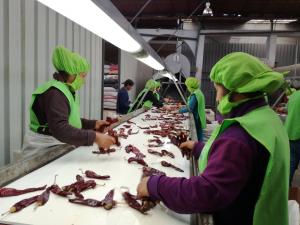 Empleos generados por el sector exportador crecieron 11.<span class='highlight'>9</span>% en el primer trimestre del año