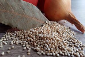 Empresa francesa compra 22 toneladas de quinua a productores de Apurímac