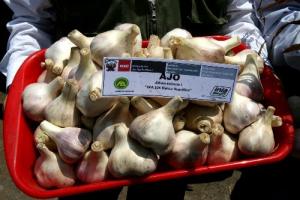 Empresarios brasileños interesados en cebolla, ajo y uva de Arequipa