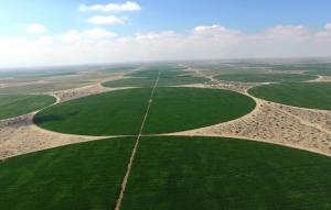 Empresas agroindustriales que participan en proyecto Olmos pidieron no permitir transferencia de acciones a un tercero