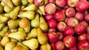 En el 2022 solo el 15% de las manzanas y el 23% de peras australes se dirigieron a Europa