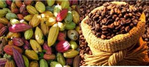 “En el café y el cacao está la gran oportunidad de Perú para sacar de la pobreza a millones de personas”