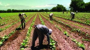 En el siglo XXI el desarrollo rural es sinónimo de desarrollo sostenible