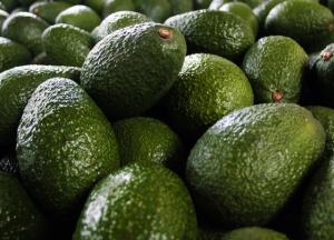 En Europa, el 80% de la palta que se consume es peruana