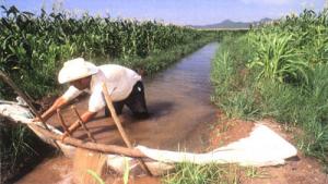 En Ica avanza el proceso de elección de nuevas directivas de juntas de usuarios