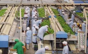 En los últimos años el empleo formal creció más en Apurímac y Huancavelica