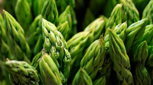 “En Perú los dos productos que abrieron trocha en agroexportación son el mango y el espárrago”