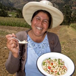 En seis meses empezaría a operar la primera planta de desamargado de tarwi en Huaylas