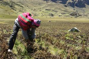 Encuentro de innovación agroecológica destaca proyectos que controlan plagas sin agroquímicos y otorgan valor agregado