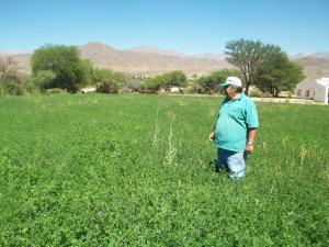 ENTRE NOVIEMBRE Y ABRIL: BUENA ÉPOCA PARA SEMBRAR FORRAJE EN LA SIERRA