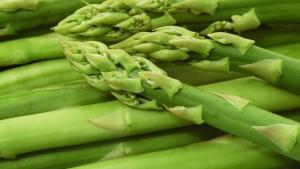 Entre septiembre y octubre se podría decidir el ingreso de espárragos frescos sin fumigación a Estados Unidos