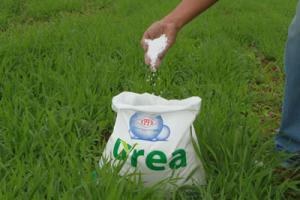 Entregar fertilizantes gratis: la propuesta del Midagri que ahora está en manos del MEF