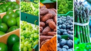 Envíos a Estados Unidos y Países Bajos representaron el 4<span class='highlight'>9</span>% del valor total de las agroexportaciones peruanas entre enero y noviembre de 2024