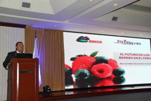 ENVÍOS DE ARÁNDANOS SUMARON US$ 8.8 MILLONES 