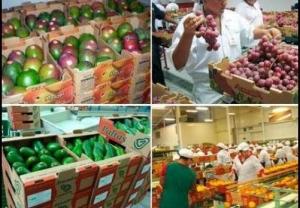 ENVÍOS DE FRUTAS Y HORTALIZAS FRESCAS CRECIERON 21% ANUAL ENTRE 2000 Y 2015