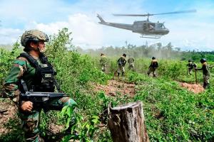 Erradican 1.640 hectáreas de cultivos ilegales de coca